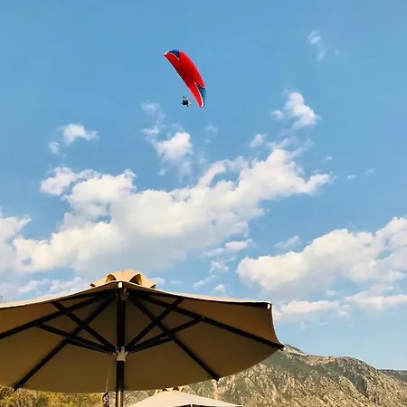 Balsam - 50m To The * Calamata